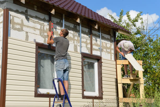 Best Custom Trim and Detailing for Siding  in Covedale, OH